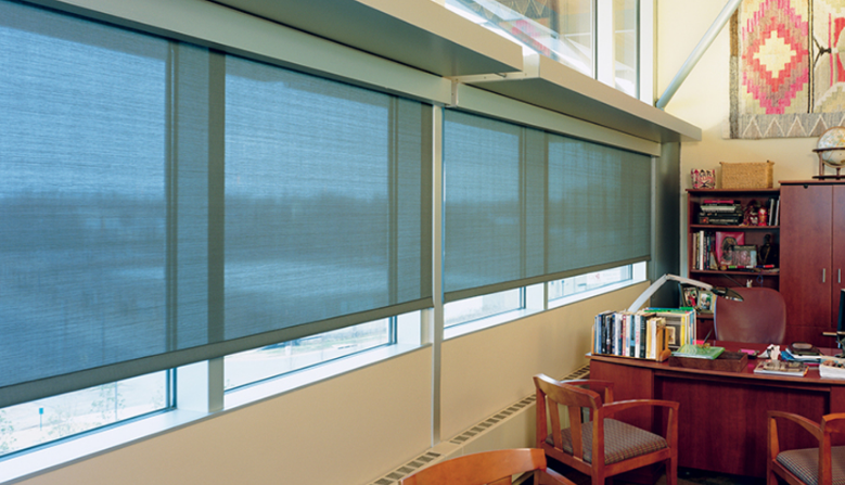 Dual Roller Shades