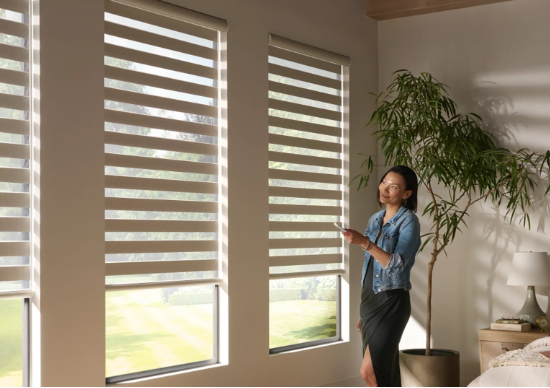 Zebra -Jalousien f&uuml;r 50 -Zoll -Fenster